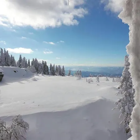 Apartamento Zupa 505