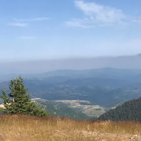 Zupa 505 Appartement